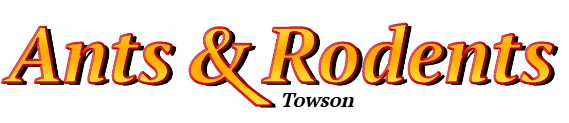 Towson Ant Exterminator & Rodent Control Company Logo